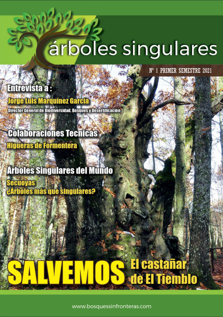 Nace la revista Árboles Singulares – Asociación La Encina (Las Rozas)